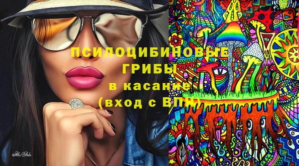 PSILOCYBIN Беломорск