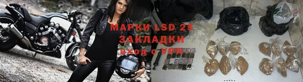 гидра Михайловка