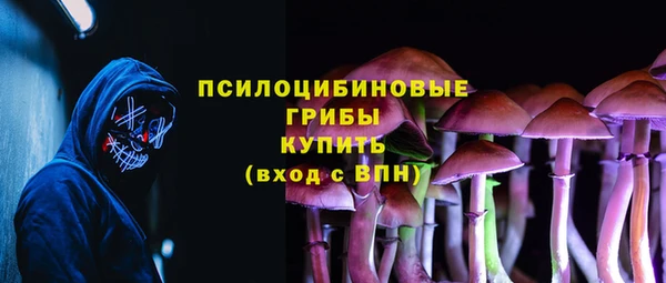 PSILOCYBIN Беломорск