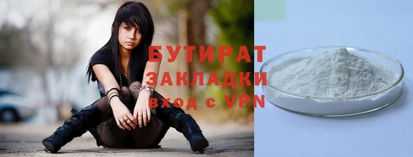 гидра Михайловка