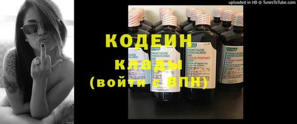 гидра Михайловка