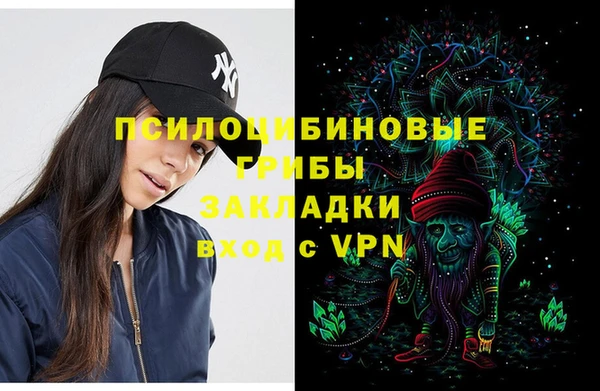 индика Бердск
