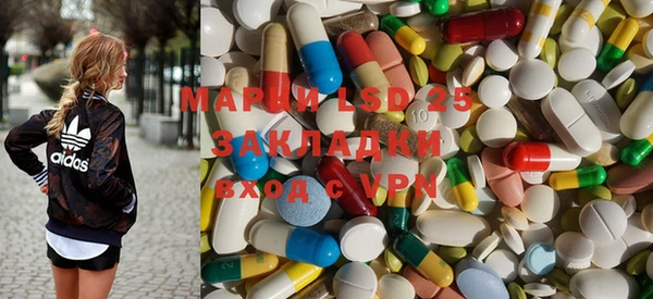 PSILOCYBIN Алагир
