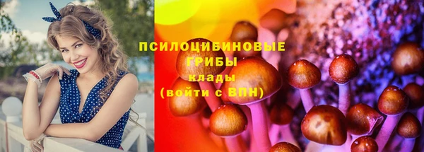 мдпв Белоозёрский