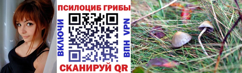 omg ссылки  Болотное  Псилоцибиновые грибы Magic Shrooms 