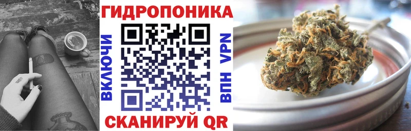 дарнет шоп  Болотное  Бошки марихуана AK-47 